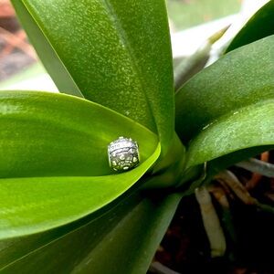 NEW Pandora heart charm with More Love in-scripted.